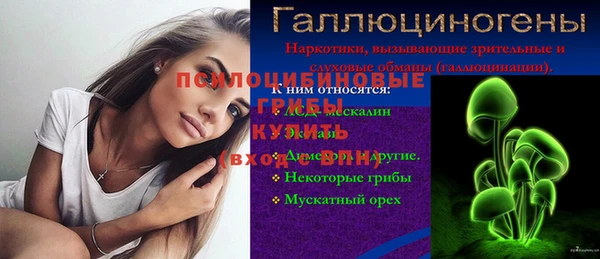 не бодяженный Бородино