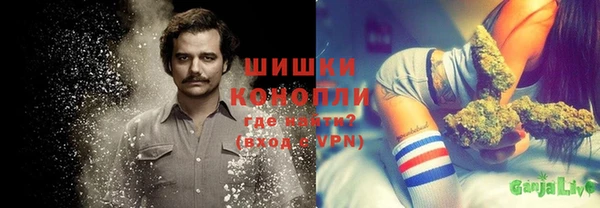 не бодяженный Бородино