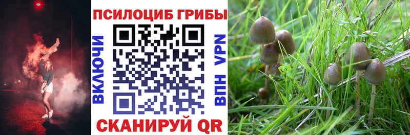 мега онион  дарнет шоп  Балабаново  Галлюциногенные грибы прущие грибы 